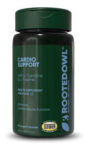 Cardio Support