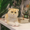 Golden Brtitish Short Hair Cat Plush – Weighted Emotional Support Toy Gift