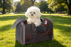 Mr. Peanut's Gold Series Standard Size Airline Compliant Pet Carrier V3.0