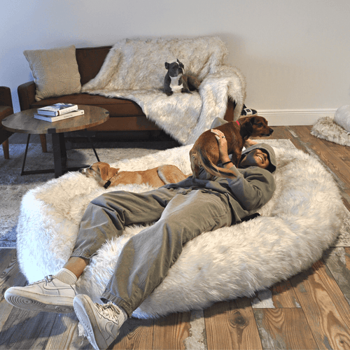 PupCloud™ Human-Size Faux Fur Memory Foam Dog Bed - White with Brown Accents