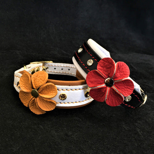 The Flower handmade puppy collar