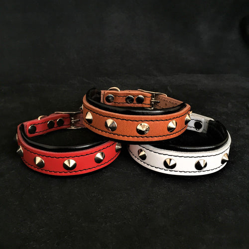 The Superstar puppy dog collar