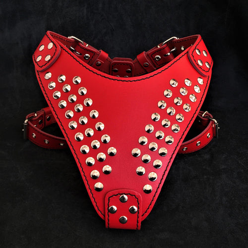 Star harness