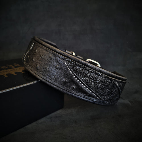 The Korona collar BLACK EDITION