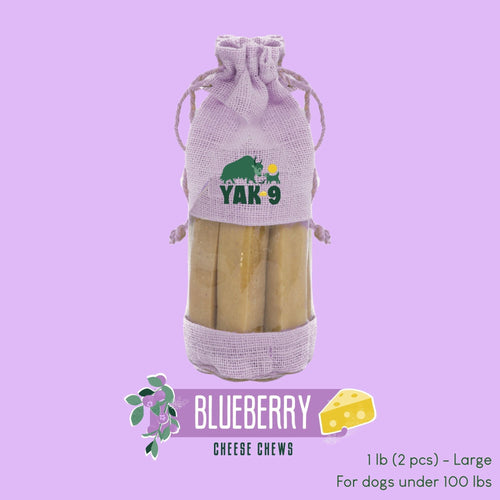 Blueberry Cheese Chews for Dogs