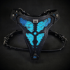 The ''Morelia Python'' harness Medium Size