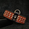 Star collar