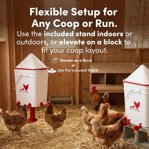 RentACoop 5 Gallon/ 6 Automatic-Fill Water Cup or Nipple Chicken Waterer with Adjustable Stand - Center Placement