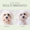 2-in-1 Whitening and Brightening Shampoo & Conditioner (Milk and Honey)