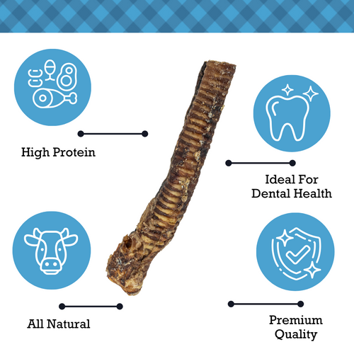 Country Living All-Natural Beef Trachea Dog Treats, Protein-Packed Chews – 12 Inches (5-Pack)