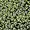 Lesser Duckweed 2oz Portion