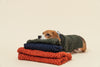 BERT CARDIGAN SWEATER - DARK GREEN