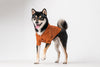 BOWERY RAINCOAT - ORANGE