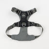 Everyday Adventure Dog Harness