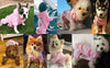 Pet Dog Jumpsuit for Small Medium Dogs
