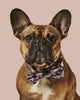 Camo QT Pink Collar and Bowtie