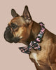 Camo QT Pink Collar and Bowtie