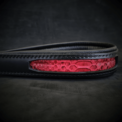 The ''Red Dragon'' leash