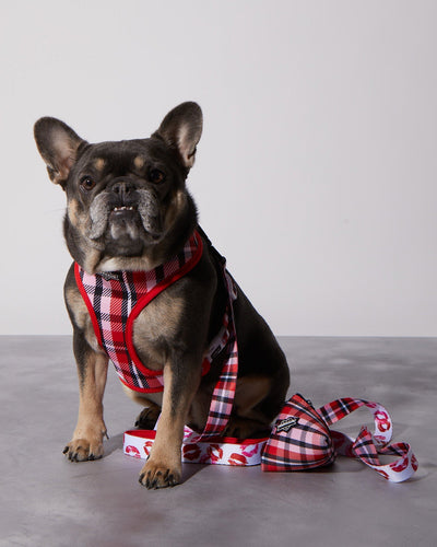 Puppy Love Plaid Poop Bag Holder