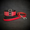 The Star Set- collar & leash