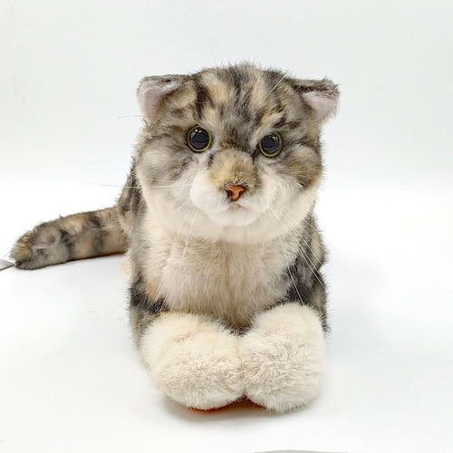 NO.13 Tappy Cat Order to Make