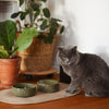 Sphere Ceramic Pet Bowl