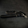 Frenchie Set- collar & leash. Black