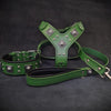 EROS BIG dog SET- Harness - collar - lead. Green