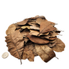 Peruvian Casho Leaf Litter