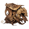 Peruvian Almendra Leaf Litter