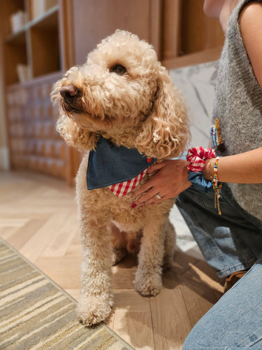 Park Day Denim Gingham Print Handmade Scrunchie
