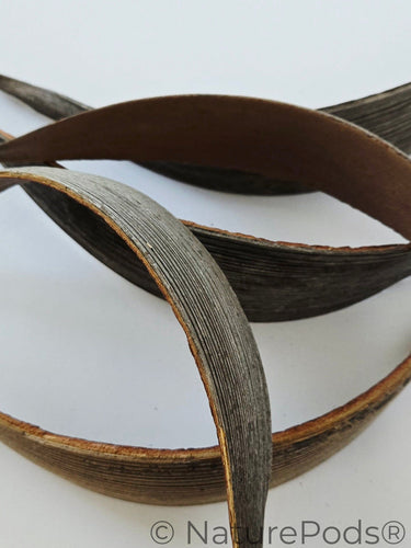 Coconut Palm Frond Paddles (3 pack)
