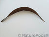 Coconut Palm Frond Paddles (3 pack)