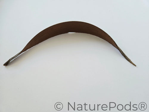 Coconut Palm Frond Paddles (3 pack)
