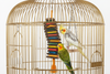 Fun Max Bird Toy