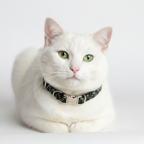 Costal Elasta Cat Reflective Breakaway Collar 10 green/black