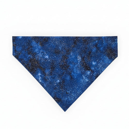 Every Day Dog Bandanas