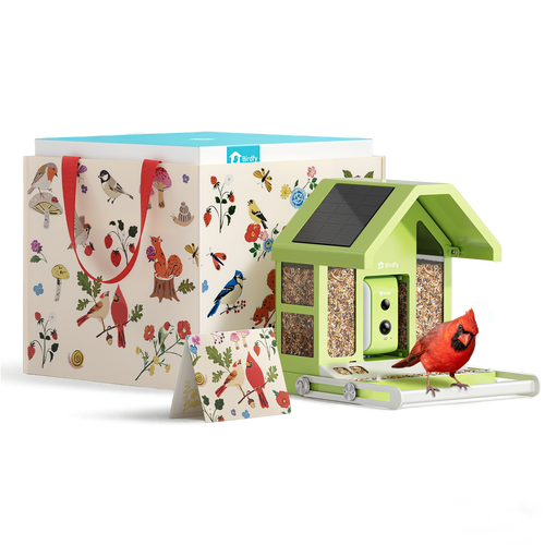 Birdfy Feeder Metal - Limited Father's Day Gift Set