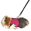 Bunny Hamster clothes harness leash