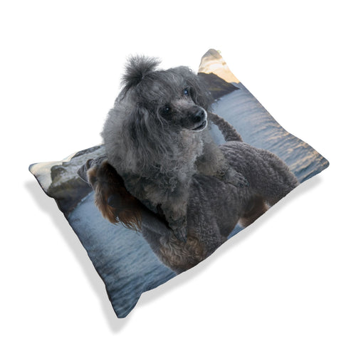 Kerry Blue Terrier Pet Bed