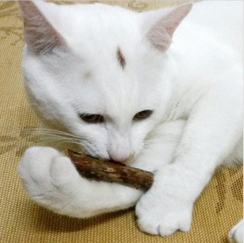5 PCS Matatabi Catnip Chew Toy