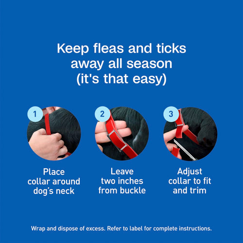 Adams Plus Flea & Tick Collar for Small Dogs & Puppies 7 Month Protection 3PK