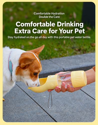 Cat-Ear Portable Pet Water Bottle with Food Cup