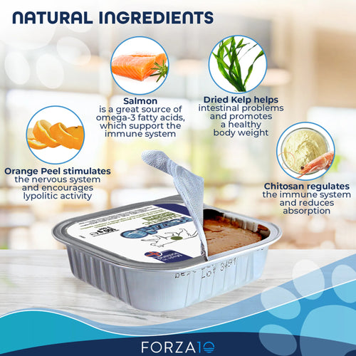 Forza10 ActiWet Diabetic Support Icelandic Fish Cat Food