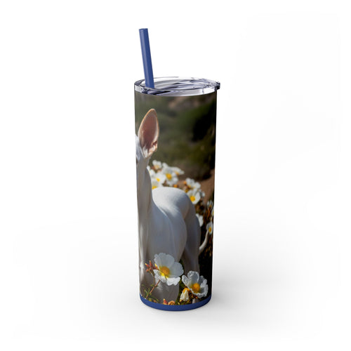 Skinny Tumbler with Straw – 20 oz Stainless Steel Cup