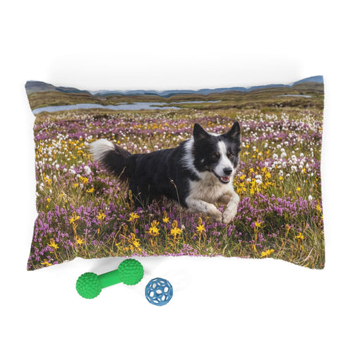Border Collie Pet Bed