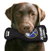 NHL Buffalo Sabres Stanley Cup Pet Toy