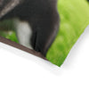 Pet Bed – Plush Dog Bed, 3 Size Options