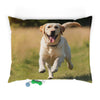 Pet Bed – Plush Dog Bed, 3 Size Options