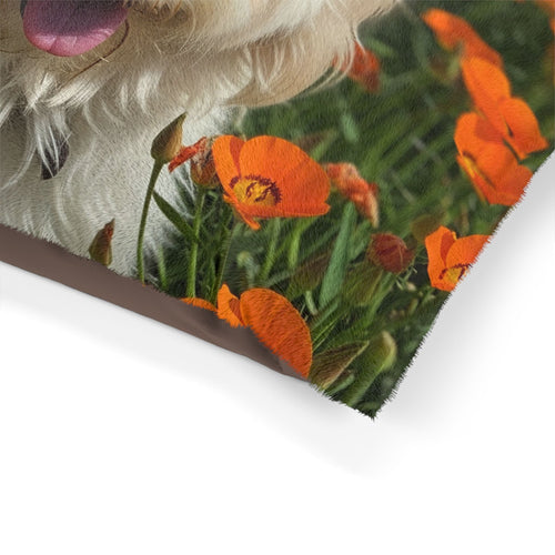 Pet Bed – Plush Dog Bed, 3 Size Options